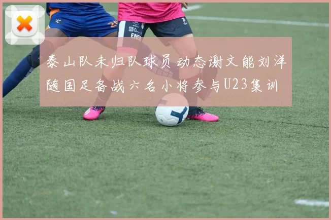 泰山队未归队球员动态谢文能刘洋随国足备战六名小将参与U23集训
