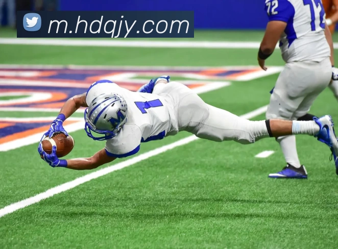 888体育官网APP 高清赛事图
